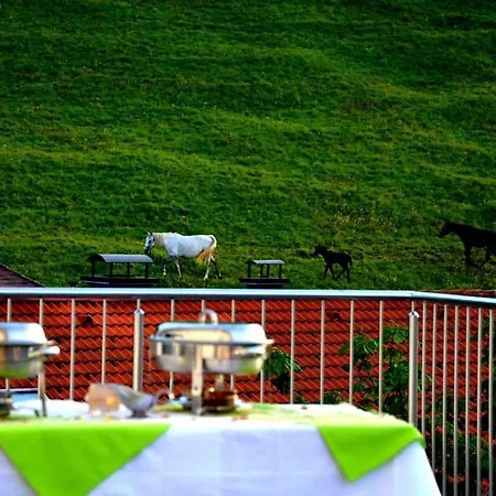 Hotel Hrib 14 *